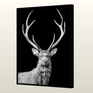 Tableau CAPREOLUS – Le Souverain de la Forêt par Pôdevache