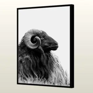 Tableau RIM – La Force Tranquille par Podevache