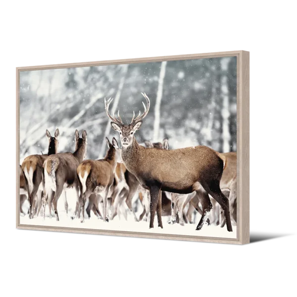 tableaux pour vos murs : une décoration murale à votre image Découvrez notre collection exclusive de toiles encadrées représentant des animaux, conçues pour ajouter une touche de nature et d'élégance à votre espace. Chaque toile capture la beauté et la grâce des créatures les plus emblématiques de notre planète, alliant qualité artistique et esthétique raffinée. Plongez dans un monde de couleurs riches et de détails captivants avec nos œuvres d'art animalières encadrées. Parfaites pour tous les amateurs d'animaux, ces toiles constituent un ajout saisissant à tout intérieur, qu'il s'agisse d'un salon, d'un bureau ou d'une chambre à coucher. Notre collection offre une variété de styles et de tailles pour s'adapter à tous les goûts et à tous les décors. Apportez une touche de la nature à votre vie quotidienne avec nos toiles encadrées représentant des animaux, et laissez-vous inspirer par la beauté intemporelle du règne animal. Composition Un tableau 100% fabriqué en France Toile imprimée ou velours imprimé tendu sur châssis bois en pin maritime français issu de forêts gérées durablement • Toile mate ou velours • Création et fabrication française • Encadrement avec caisse américaine. Tous nos tableaux sont issus de notre propre studio de création et fabriqués en France avec la plus grande attention, dans nos ateliers, selon un savoir-faire préservé depuis de nombreuses années. Des tirages de qualité magnifiés par une finition experte : impression Haute Définition selon les dernières technologies en matière d’impression, encres écologiques.