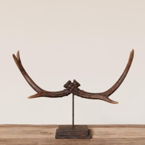 Déco en bois de cerf sur support, une pièce élégante et naturelle pour sublimer votre intérieur. Ce design raffiné apporte une touche rustique et moderne à votre décoration, idéale pour une ambiance chaleureuse et sophistiquée.