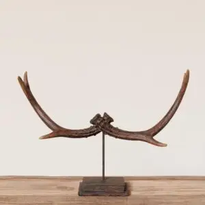 Déco en bois de cerf sur support, une pièce élégante et naturelle pour sublimer votre intérieur. Ce design raffiné apporte une touche rustique et moderne à votre décoration, idéale pour une ambiance chaleureuse et sophistiquée.