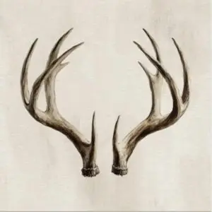 Lot de 6 dessous de verre CERF SILS MARIA