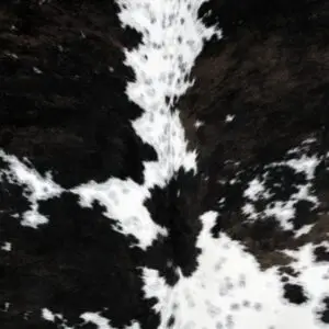 Lot de 6 dessous de verre WENGEN