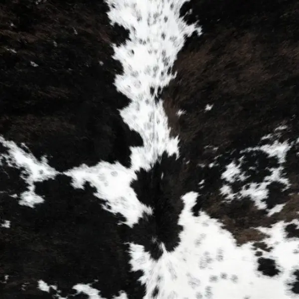 Lot de 6 dessous de verre WENGEN