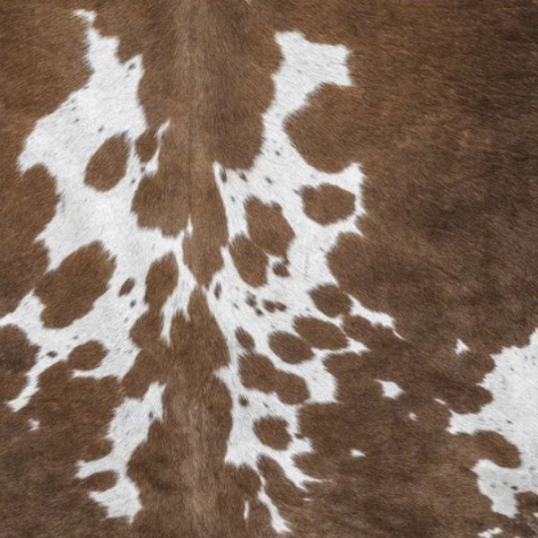 Lot de 6 dessous de verre GSTAAD