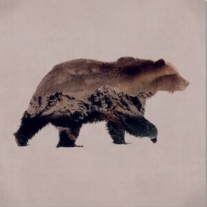 Lot de 6 dessous de verre PIKES