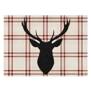 Set de table vinyle rennes BORNO