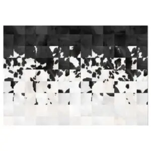 Set de table vinyle VACHE NOIR