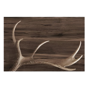 Set de table vinyle cerf ZUOZ